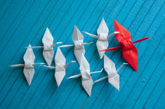 stado ptaków origami, na czele jeden większy czerwony, za nim grupa białych